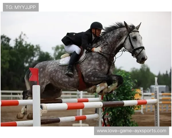 马术障碍赛黑马爆冷夺冠，骑手泪洒赛场